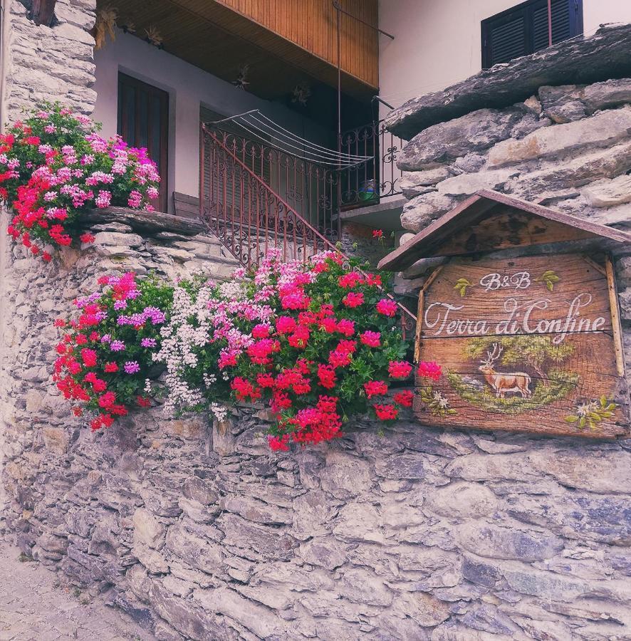 Bed & Breakfast Terra Di Confine *