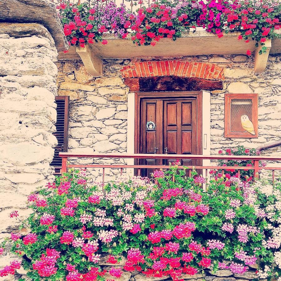 Terra Di Confine Bed & Breakfast *